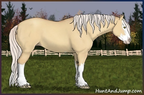 Horse Color:Silver Classic Champagne Dun Splash 