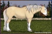 Horse Color:Silver Classic Champagne Dun Splash