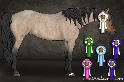 Horse Color:Bay Roan Dun 