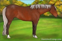 Horse Color:Silver Brown 