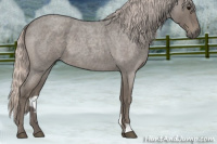Horse Color:Silver Blue Roan 