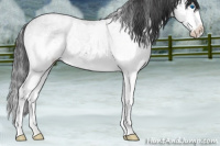 Horse Color:White Spotted Blue Roan Splash 