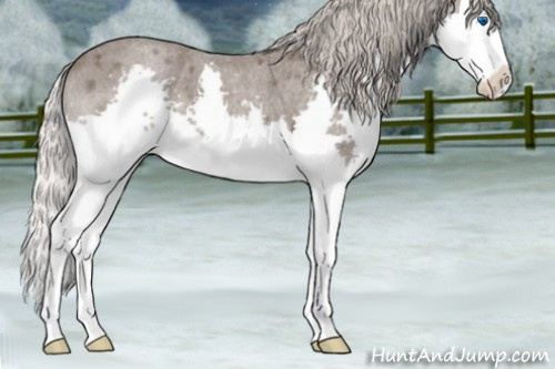 Horse Color:Silver Blue Roan Sabino Splash 