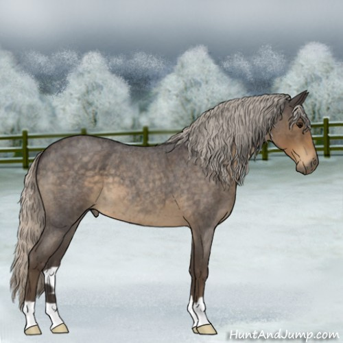Horse Color:Silver Smoky Blue Roan 