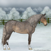 Horse Color:Silver Smoky Blue Roan 