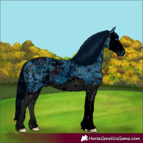 Horse Color:ERROR: UNKNOWN ANOMALY