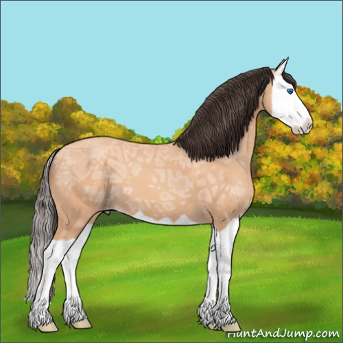Horse Color:Amber Champagne Ice Splash 