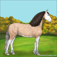 Horse Color:Amber Champagne Ice Splash 