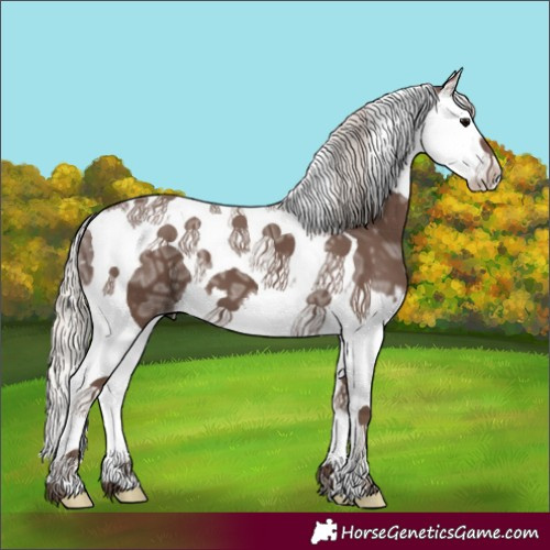 Horse Color:Silver Black Ice Splash Tobiano 