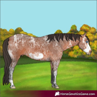 Horse Color:Bay Ice Frame