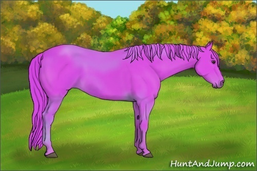 Horse Color:Watercolor Chestnut 