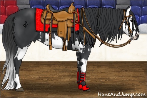 Horse Color:Black and Black Splash