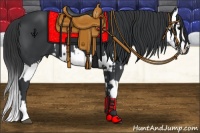 Horse Color:Black  and Black Splash 