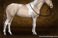 Horse Color:Brown Pearl Dun Tobiano Rabicano