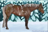 Horse Color:White Spotted Silver Brown 