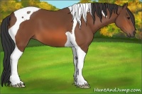 Horse Color:Bay Tobiano 