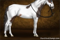 Horse Color:Buckskin Tobiano Frame Rabicano 