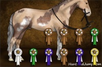 Horse Color:Buckskin Roan Sabino Splash Frame Rabicano and Buckskin Pearl Tobiano Rabicano