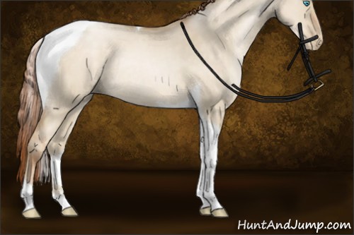 Horse Color:Buckskin Pearl Dun Tobiano Rabicano 