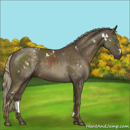 Horse Color:White Spotted Chocolate Palomino Mushroom 