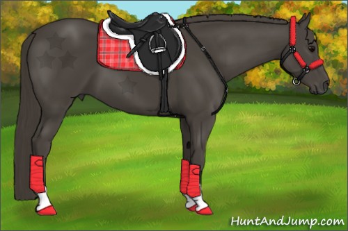 Horse Color:Smoky Black 