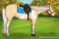 Horse Color:White Spotted Palomino 