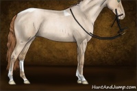 Horse Color:Smoky Blue Roan Pearl Tobiano Rabicano