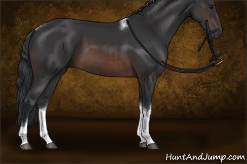 Horse Color:Brown Tobiano Rabicano