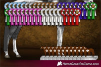 Horse Color:Black Sabino Tobiano Frame Rabicano 