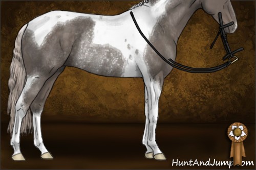Horse Color:Silver Black Tobiano Rabicano