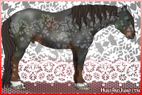 Horse Color:Gray Liver Chestnut Ice