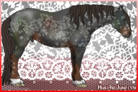 Horse Color:Gray Liver Chestnut Ice 