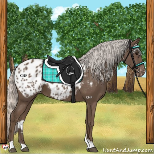 Horse Color:Silver Black Blanket