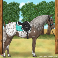 Horse Color:Silver Black Blanket 