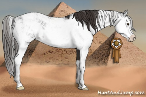 Horse Color:Liver Chestnut Sabino