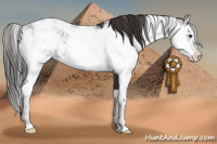 Horse Color:Liver Chestnut Sabino