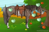 Horse Color:Liver Red Dun Sabino 