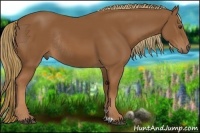 Horse Color:Chestnut Rabicano