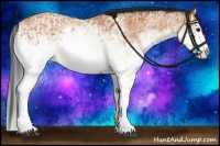Horse Color:White Spotted Bay and White Spotted Bay Splash