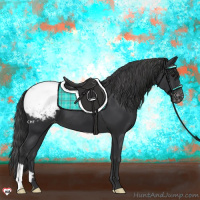 Horse Color:Black Appaloosa 