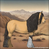 Horse Color:Buckskin Rabicano