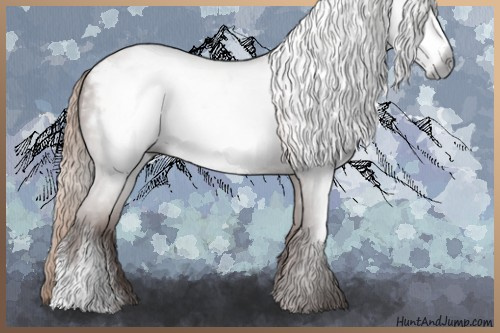 Horse Color:Gray Red Roan Frame