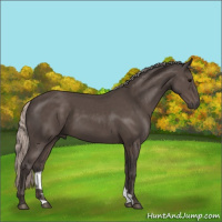 Horse Color:Silver Black 