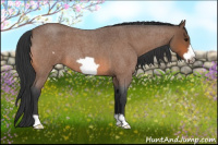 Horse Color:Bay Roan Frame