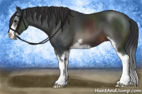 Horse Color:Brown Sabino 