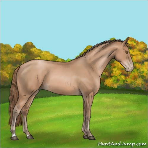 Horse Color:Black Pearl 