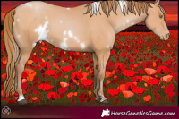 Horse Color:White Spotted Bay Pearl 