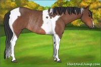 Horse Color:Bay Tobiano Rabicano 