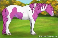 Horse Color:Watercolor Chestnut Tobiano Varnish 