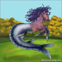 Horse Color:Watercolor Bay 